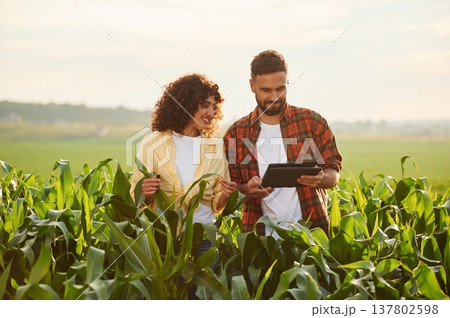 Digital tablet in hands. Man and woman are on the corn agricultural field 137802598
