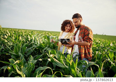 Collecting data by using digital tablet. Man and woman are on the corn agricultural field Collecting data by using digital tablet. Man and woman are on the corn agricultural field 137802613