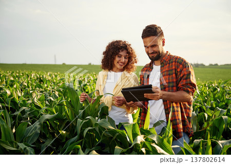 Collecting data by using digital tablet. Man and woman are on the corn agricultural field Collecting data by using digital tablet. Man and woman are on the corn agricultural field 137802614