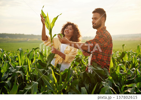 Man and woman are on the corn agricultural field Man and woman are on the corn agricultural field 137802615
