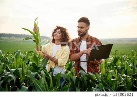 Checking the data on the laptop. Man and woman are on the corn agricultural field Checking the data on the laptop. Man and woman are on the corn agricultural field 137802621