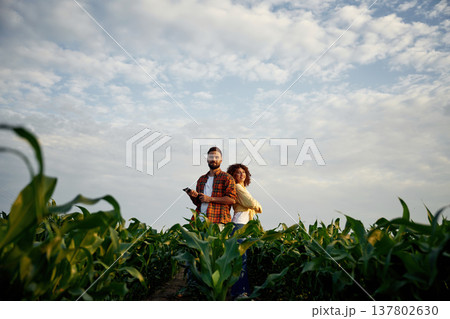 Posing, looking forward. Man and woman are on the corn agricultural field 137802630