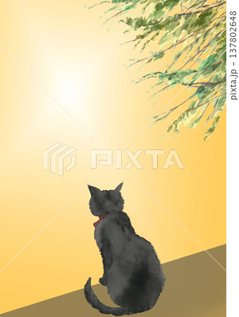 水彩で描いた日向ぼっこをする黒猫のいる風景イラスト素材【手描き】コピースペースあり 137802648