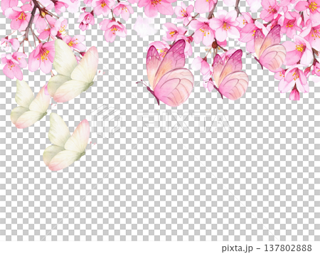 A spring watercolor frame background featuring cherry blossoms and fluttering butterflies. 137802888