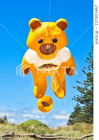 Otaki Kite Festival 2026 Teddy Bear Kite 137803467