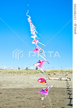 Otaki Kite Festival 2026 Line Kites 137803505