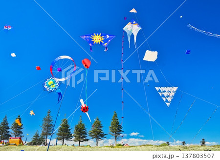 Otaki Kite Festival 2026 Shapes 137803507