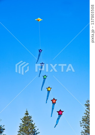 Otaki Kite Festival 2026 Star Line Up Otaki Kite Festival 2026 Star Line Up 137803508
