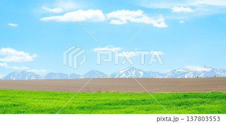 爽やかな風が吹く春の北海道美瑛町の丘と十勝岳連峰と青空の風景 137803553