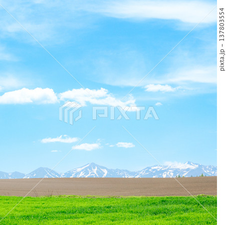 爽やかな風が吹く春の北海道美瑛町の丘と十勝岳連峰と青空の風景 137803554