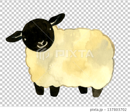 Cute Suffolk sheep - Hand-drawn watercolor illustrations of animals and the Chinese zodiac. Cute Suffolk sheep - Hand-drawn watercolor illustrations of animals and the Chinese zodiac. 137803702