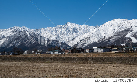 冬の五竜岳　北アルプス　 137803797