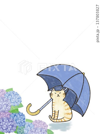 傘をさす猫 傘をさす猫 137803827