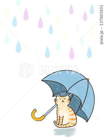 傘をさす猫 137803831