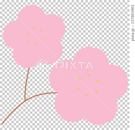 Simple and gentle spring illustration material featuring cherry blossom branches and flowers. 137803901