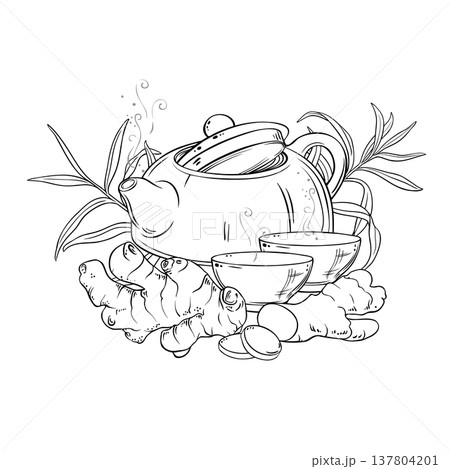Ginger Tea in Teapot Outline Illustration. Ginger Tea in Teapot Outline Illustration. 137804201