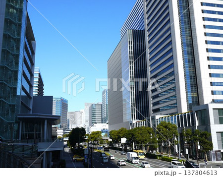 高層ビル群のみなとみらい 高層ビル群のみなとみらい 137804613