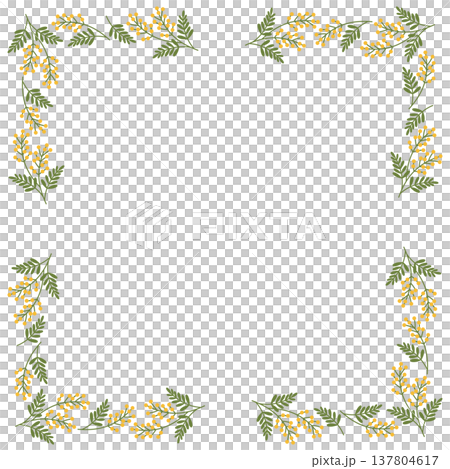 Mimosa frame Mimosa frame 137804617