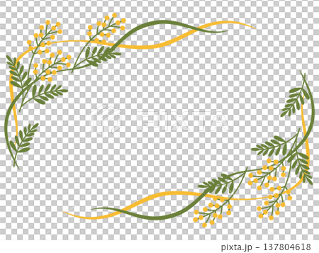 Mimosa frame Mimosa frame 137804618