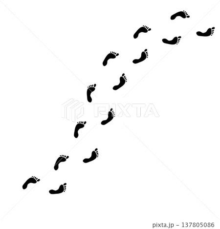 Barefoot silhouette track, human foot print trail curved path isolated on white background. Walking person steps, barefoot silhouette set, organic body part shape. Foot print collection Barefoot silhouette track, human foot print trail curved path isolated on white background. Walking person steps, barefoot silhouette set, organic body part shape. Foot print collection 137805086