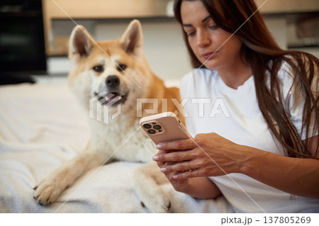 Social media conception, holding smartphone. Woman is with her Shibu Inu dog at home Social media conception, holding smartphone. Woman is with her Shibu Inu dog at home 137805269