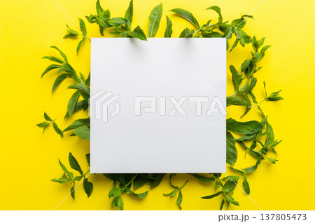 Wreath frame made of empty paper blank with space for text and mint leaves on colored background. . Mint Pattern. Flat lay. Top view 137805473