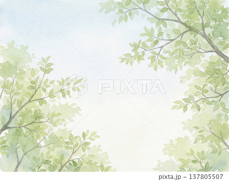 水彩画 新緑の葉と青空 水彩画 新緑の葉と青空 137805507