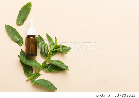Natural Mint Essential Oil in a Glass Bottle. organic cosmetics with herbal extracts of mint on colored background 137805613