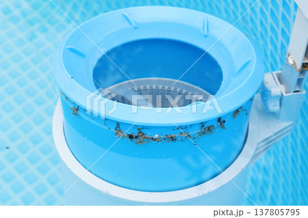 Top view of the blue skimmer for cleaning the pool in clear water. Contaminated pool cleaning concept Top view of the blue skimmer for cleaning the pool in clear water. Contaminated pool cleaning concept 137805795
