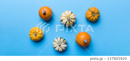 Autumn composition of little orange pumpkins on colored table background. Fall, Halloween and Thanksgiving concept. Autumn flat lay photography. Top view vith copy space Autumn composition of little orange pumpkins on colored table background. Fall, Halloween and Thanksgiving concept. Autumn flat lay photography. Top view vith copy space 137805920