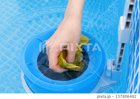 girl cleans skimmer for the frame pool. Contaminated pool cleaning concept girl cleans skimmer for the frame pool. Contaminated pool cleaning concept 137806482