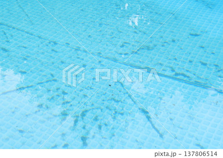 dirty pool water surface, season luxury life concept top veiw 137806514