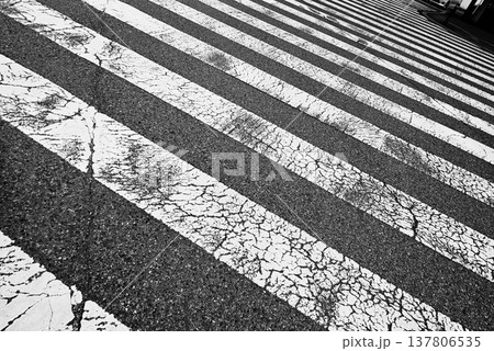横断歩道 横断歩道 137806535