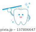 歯磨き粉をつけた歯 137806647
