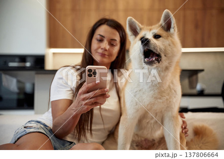 Holding smartphone, making selfie. Woman is with her Shibu Inu dog at home 137806664