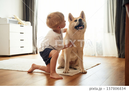 On the floor. Little boy is with Shibu Inu dog at home On the floor. Little boy is with Shibu Inu dog at home 137806834