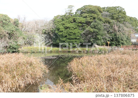 2024年・福岡・福岡市・風景・中央区城内・福岡城跡・其の百十一 2024年・福岡・福岡市・風景・中央区城内・福岡城跡・其の百十一 137806875