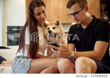 Guy is holding smartphone. Man and woman are sitting at home with Shibu Inu dog Guy is holding smartphone. Man and woman are sitting at home with Shibu Inu dog 137806958