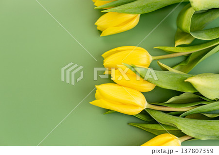 bright spring tulip bouquet botanical floral greeting background 137807359