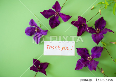 Isolated branch of clematis with petals on green 137807390