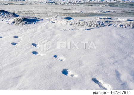 Footprints in Deep Snow on Frozen Baltic Sea Beach in Winter Footprints in Deep Snow on Frozen Baltic Sea Beach in Winter 137807614