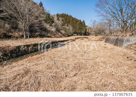 奥琵琶湖を流れる清流 大川 滋賀県長浜市西浅井町 奥琵琶湖を流れる清流 大川 滋賀県長浜市西浅井町 137807635