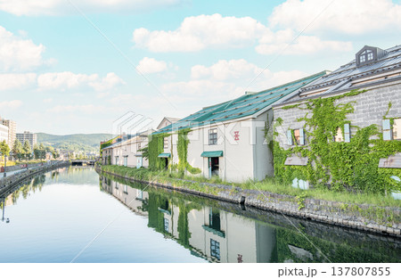 北海道小樽市　北海道人気の観光地　初夏の小樽運河の風景 137807855