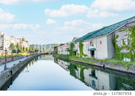 北海道小樽市　北海道人気の観光地　初夏の小樽運河の風景 137807858