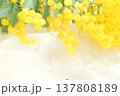 美しいミモザの花束 137808189
