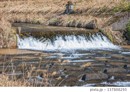 奥琵琶湖を流れる清流　大川　滋賀県長浜市西浅井町 137808293