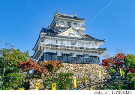 岐阜県　岐阜城　天守 137808329