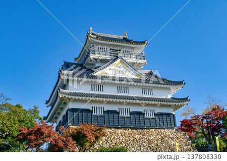 岐阜県　岐阜城　天守 137808330