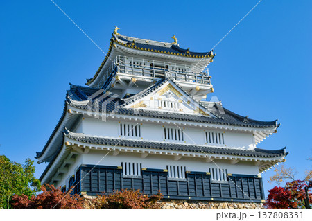 岐阜県 岐阜城 天守 岐阜県 岐阜城 天守 137808331