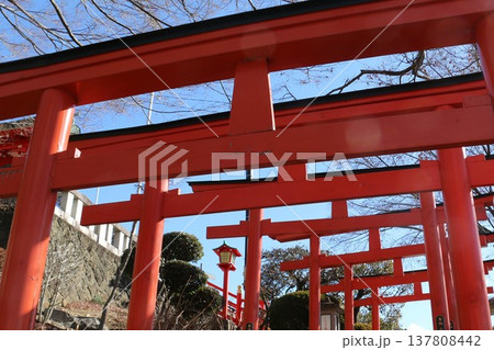 七色の鳥居が迎える足利織姫神社 七色の鳥居が迎える足利織姫神社 137808442